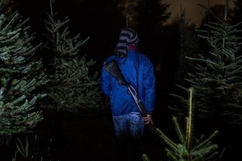 Cuộc chiến ngăn Mafia tận diệt thông Noel