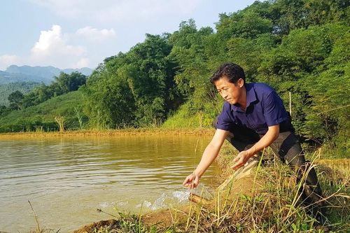 Khắc khoải Suối Tôn