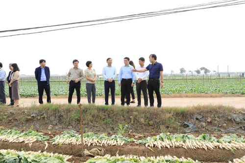 Hà Nội sẽ tổ chức phiên giải trình về việc quản lý đất khu bãi sông