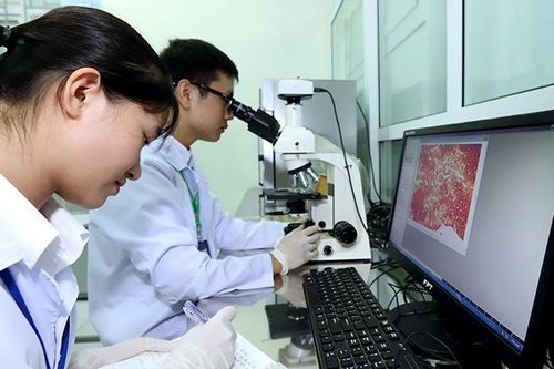 Thúc đẩy chuyển đổi số trong giáo dục đại học