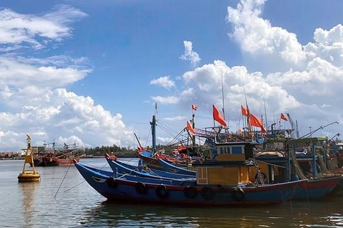 Bất cập hạ tầng nghề cá ở Quảng Nam