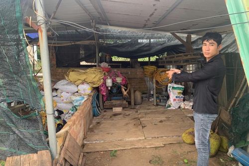 Mật phục tóm 'nông tặc'