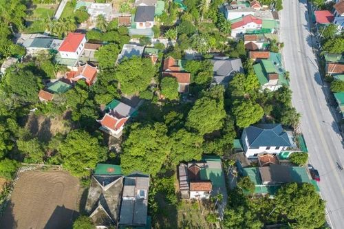 Vườn thị cổ thụ 'che bộ đội, vây quân thù'