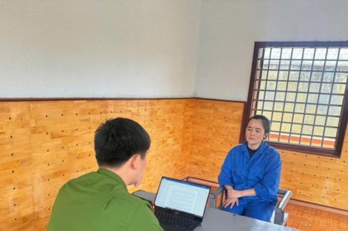 Thuê hàng loạt ô tô tự lái rồi làm giả giấy tờ mang bán