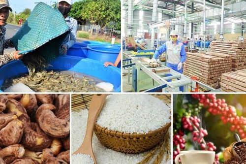 Doanh nghiệp Việt Nam cần tăng tốc tận dụng cơ hội từ các hiệp định thương mại