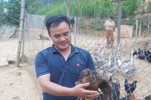 Làm trang trại tiền tỉ trên cao nguyên đá