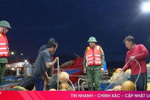 Khai thác trái phép thủy sản có thể bị xử phạt đến 100 triệu đồng.