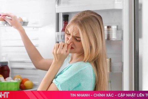 Vì sao tủ lạnh có mùi hôi? Cách xử lý