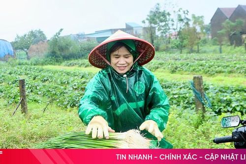 Kiệu được giá, nông dân Kỳ Đồng phấn khởi chờ vụ tết