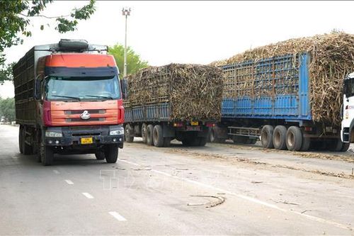 Tuyên truyền, xử lý xe chở quá tải mùa thu hoạch mía