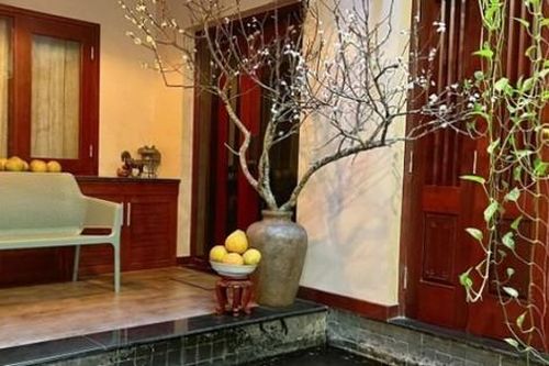 'Cành củi khô' có giá tiền triệu, người thành phố săn lùng về chơi