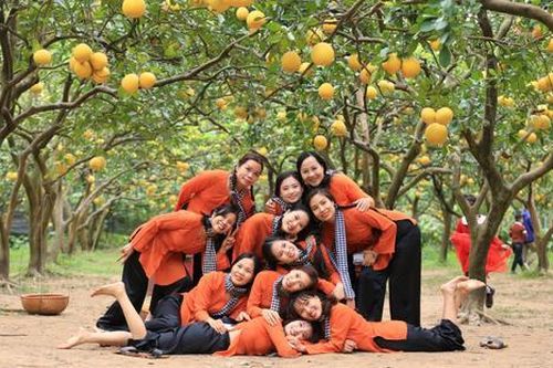 Du khách xúng xính váy áo, 'đội rét' đi chụp ảnh vườn bưởi Diễn ở Hà Nội