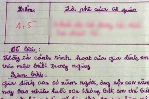 Bài văn tả cảnh sinh hoạt được 4.5 điểm, cô viết lời phê khiến ai cũng gật gù đồng ý