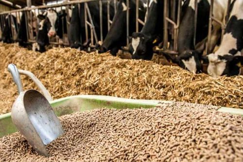 Luật chất lượng hàng hóa nhiều bất cập, dễ bị lạm dụng gây phiền phức cho doanh nghiệp