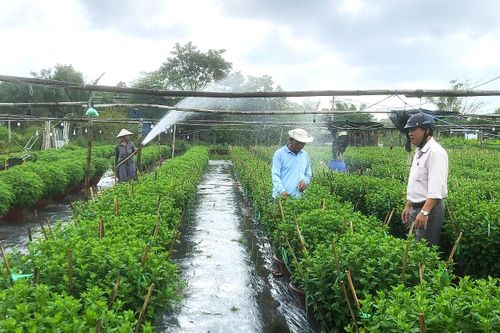 Đẩy mạnh hợp tác, liên kết phát triển sản xuất