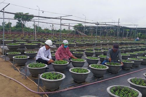Người cán bộ hội nhiệt tình, gần gũi nông dân