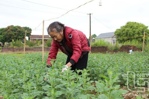 Tạo sự gắn kết trong cộng đồng dân cư