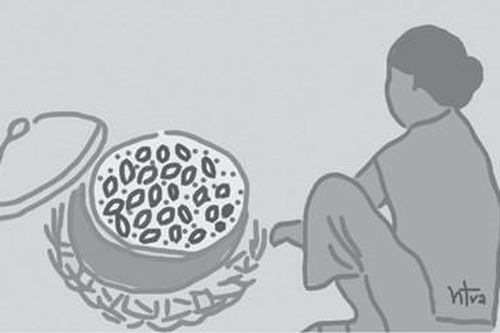 Cá cấn ngày mưa
