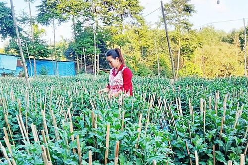 Gieo mầm thịnh vượng