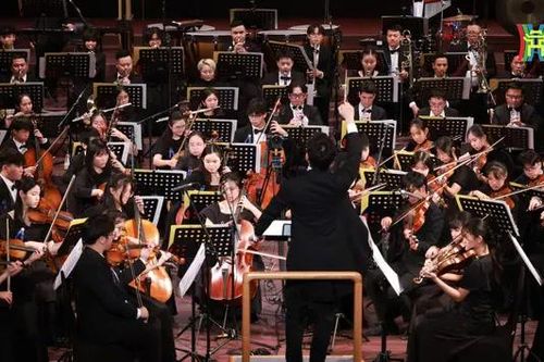 Thăng hoa cùng âm nhạc trong 'Hòa nhạc Mùa đông'