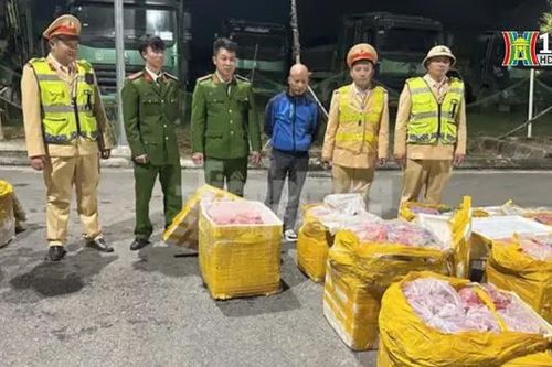 Phát hiện gần 1 tấn nội tạng động vật hôi thối