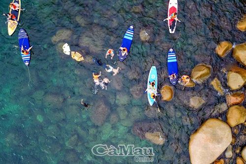 Thú vị chèo SUP