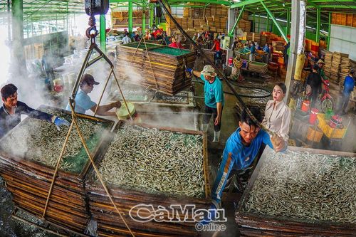 Làng nghề khô cá cơm Sông Ðốc