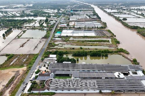 Bài cuối: 'Chìa khóa' đưa Cà Mau vươn xa