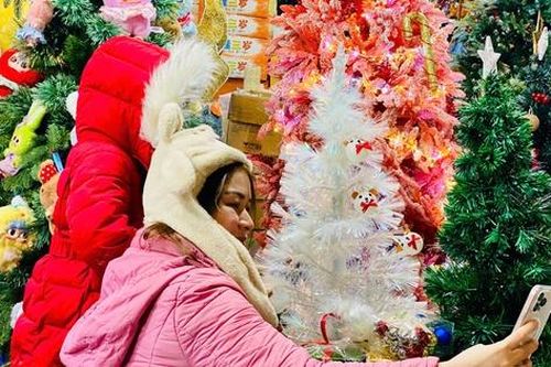 Thị trường Noel 2024: Cây thông Noel 'túi mù' giá tiền triệu hút giới trẻ có gì đặc biệt?