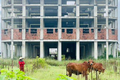 Quảng Nam: kiểm điểm trách nhiệm nhiều sở liên quan dự án của Công ty STO