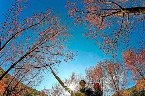 Sắp diễn ra Festival khèn Mông, Lễ hội hoa Tớ dày tại Yên Bái