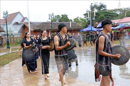 Tưng bừng Lễ hội Mừng lúa mới của đồng bào dân tộc K'Ho ở Lâm Đồng
