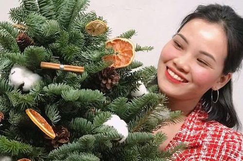 Cây thông độc lạ tạo điểm nhấn trên thị trường Giáng sinh