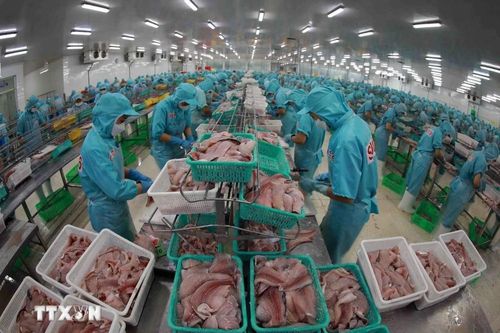 Chuyên gia: Đà phát triển mạnh mẽ của kinh tế Việt Nam 'vẫn được duy trì'