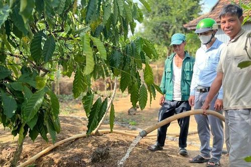 Nâng cao ý thức giảm nghèo cho đồng bào dân tộc thiểu số: Hướng đi bền vững