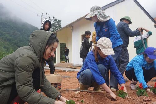 Hàng nghìn khóm hoa khoe sắc được trồng tại khu tái định cư Kho Vàng và Nậm Tông