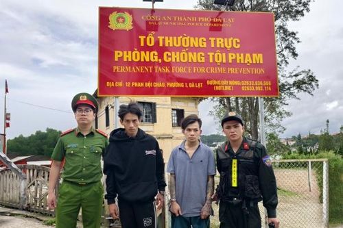Đà Lạt: Triệt phá nhóm đối tượng trộm cắp xe máy, sử dụng ma túy