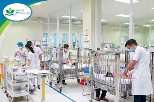 Ăn nhầm lá hoa thủy tiên, 2 trẻ nhỏ nhập viện vì ngộ độc