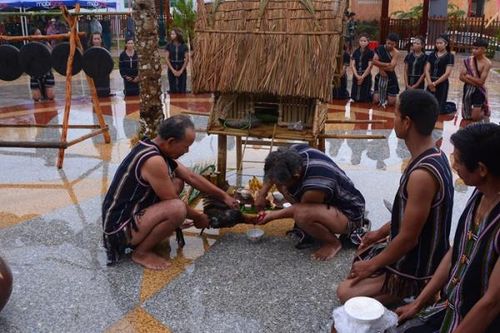 Tái hiện lễ hội Nhô Lir Bong của người Cơ Ho