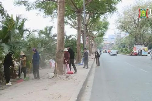 Xây dựng và giữ gìn ngõ xóm xanh, sạch,đẹp