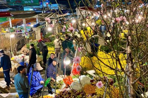 Thị trường Tết 2025: Chưa đến Tết đào, quất thi nhau xuống phố sớm phục vụ khách hàng