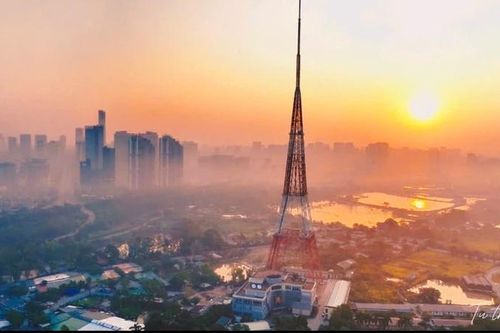 Giải mã sức hút 'triệu view' của phim hình sự 'Mật lệnh hoa sữa'