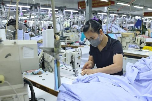 Nỗ lực hướng tới xuất khẩu xanh