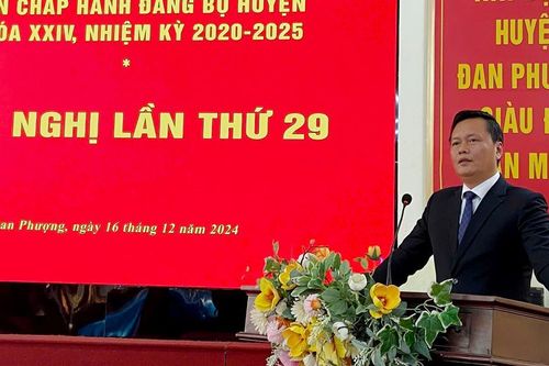 Huyện Đan Phượng: tổng giá trị sản xuất năm 2024 ước đạt hơn 21.700 tỷ đồng