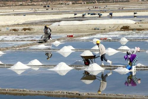 Công bố Festival nghề muối Việt Nam - Bạc Liêu năm 2025