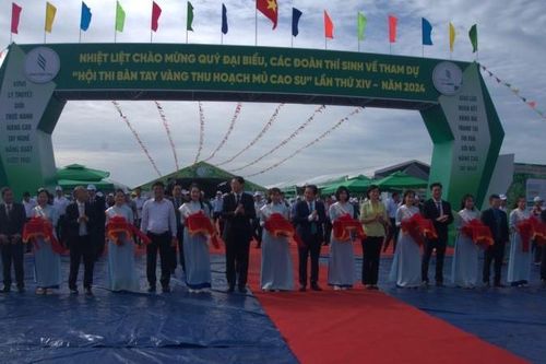 240 công nhân cao-su trong nước và quốc tế tranh tài tại Hội thi Bàn tay vàng năm 2024