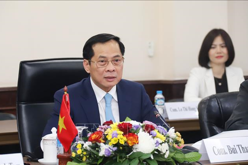Tham vấn chính trị Việt Nam - Lào lần thứ 11
