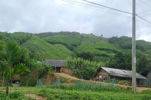 Đắk Lắk phân bổ 463 tỷ đồng phát triển kinh tế - xã hội vùng đồng bào dân tộc thiểu số và miền núi