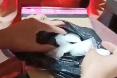Công an tỉnh Bình Định khen thưởng tài xế tố giác buôn bán ma túy liên tỉnh