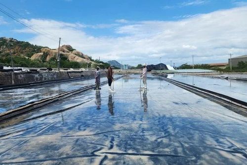 Lần đầu tiên tổ chức Festival nghề muối Việt Nam